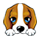 滁城養犬證件辦理流程